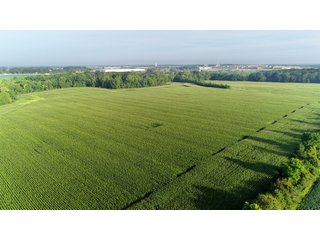 Tillable & Wooded Farmland in Allen County, Indiana - LAND AUCTION - 184+/- ACRES OFFERED IN 3 TRACTS IN ALLEN COUNTY, INDIANA